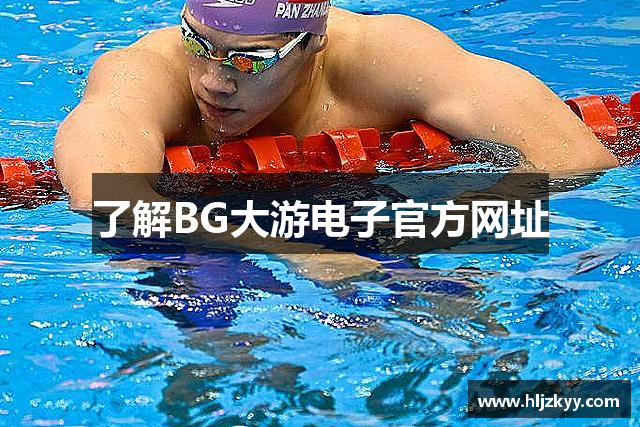 了解BG大游电子官方网址